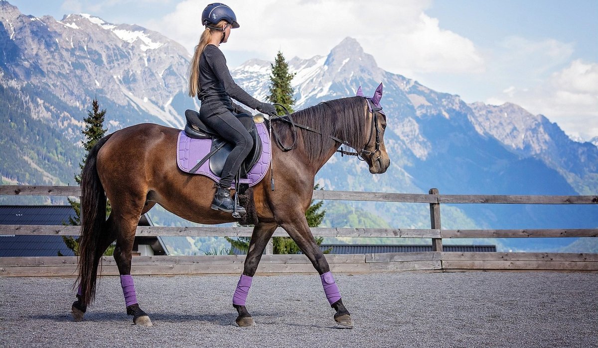 Groundwork Exercises to Improve Horse Manners