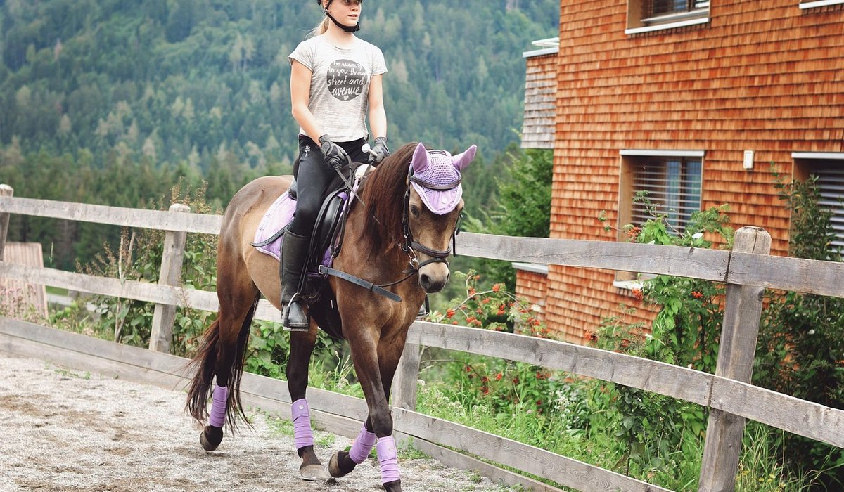 How to Fit a Bridle Correctly and Comfortably